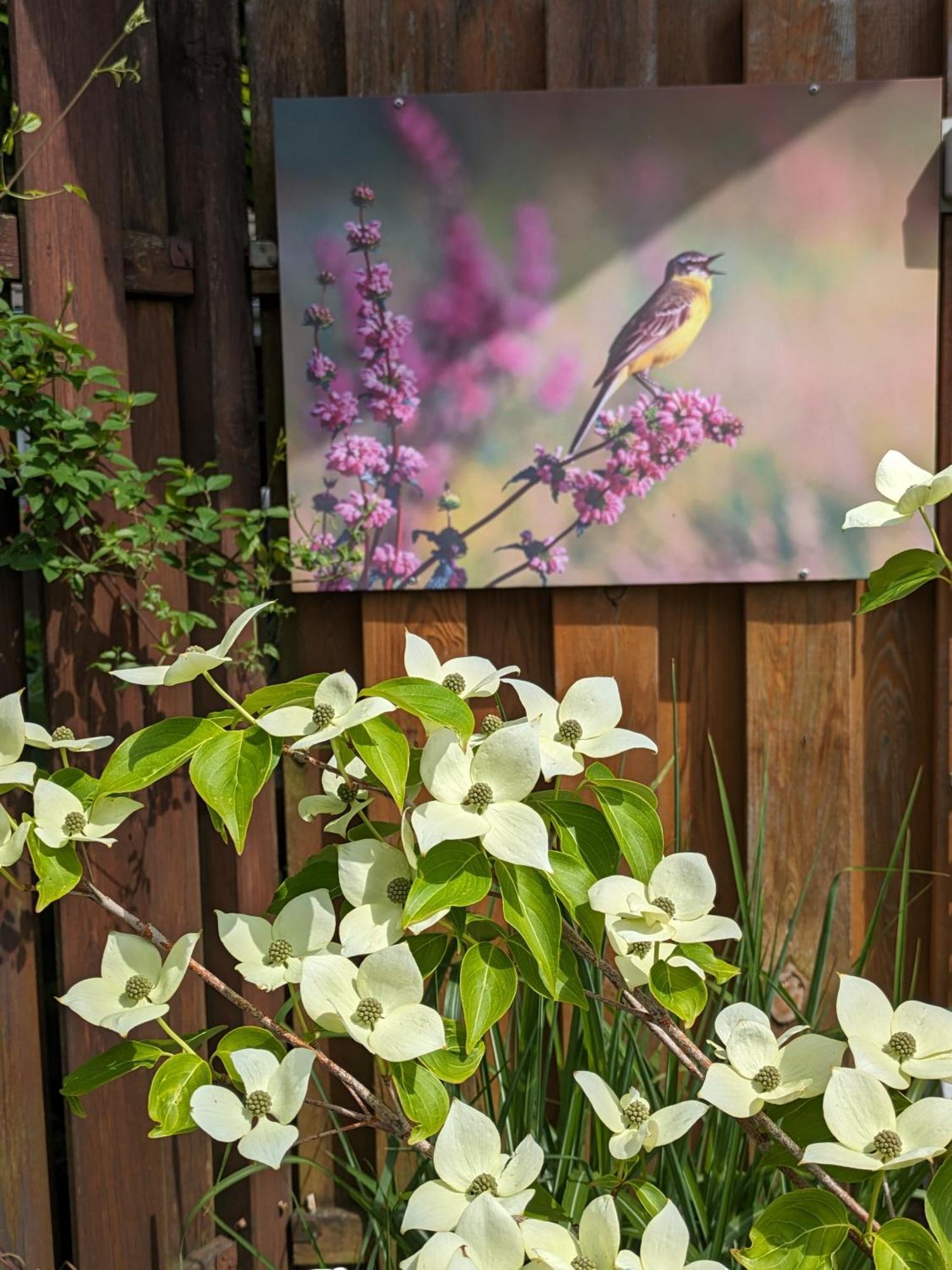 Ferienwohnung Zum Wenning Mit Garten In Stadtlohn Luaran gambar